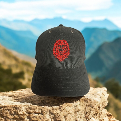 Quality INPOWER Snapback Cap PT